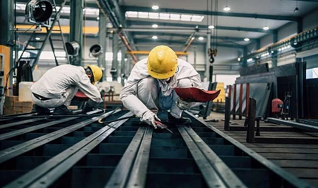 Bayraklı İlaçlama Şirketi